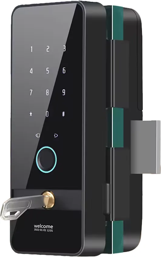 ES2211 Biometric Lock