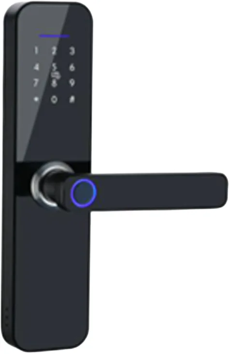S233F Biometric Lock